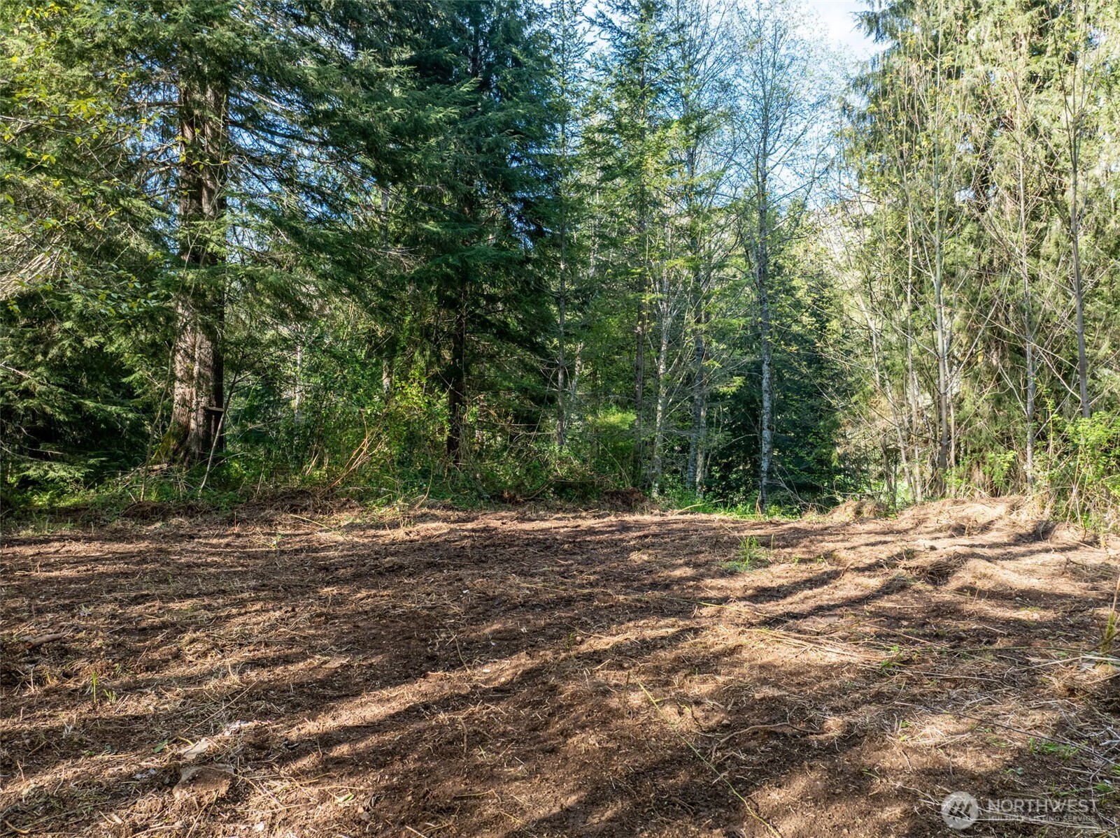 0 Davis Lake Road Morton, WA 98356 - Photo 1 of 25 a view of a yard with a tree