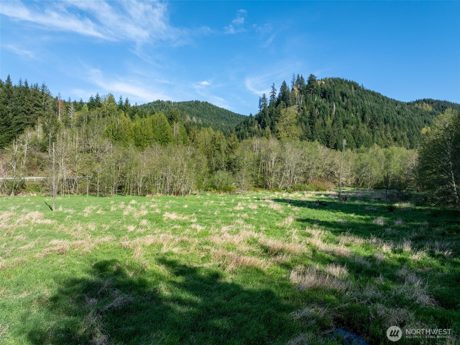 0 Davis Lake Road Morton, WA 98356 - Photo 21 of 25 a view of a yard with a tree