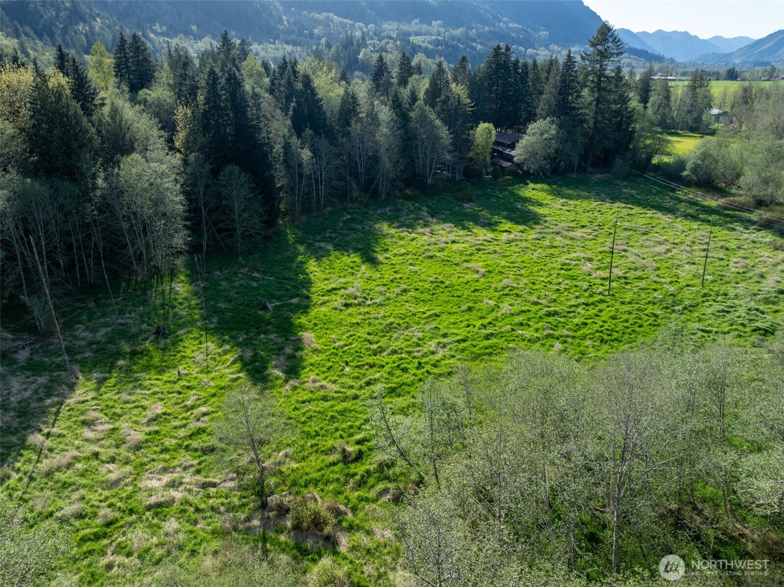 0 Davis Lake Road Morton, WA 98356 - Photo 23 of 25 a view of a garden with a building in the background