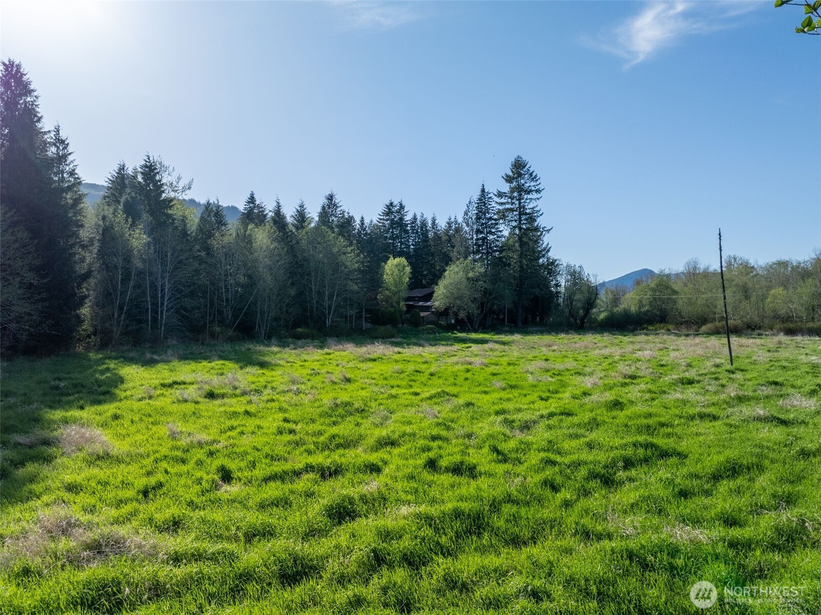 0 Davis Lake Road Morton, WA 98356 - Photo 24 of 25 a view of a yard