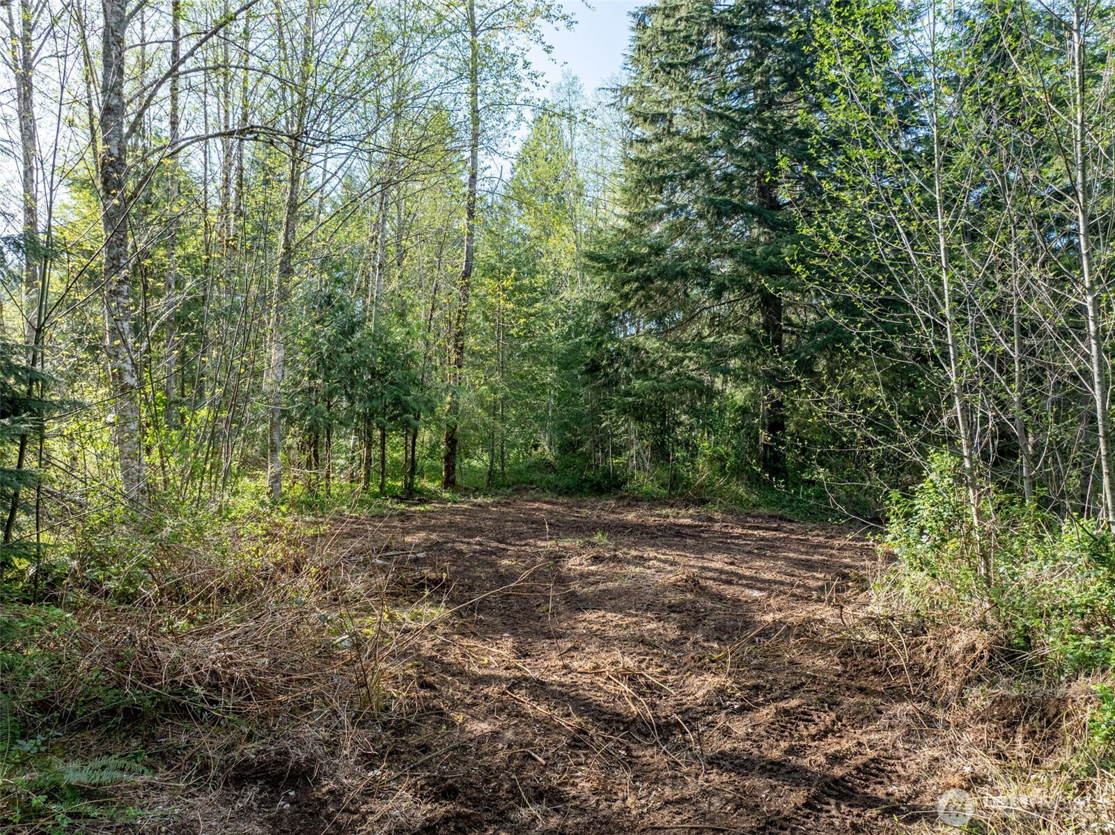 0 Davis Lake Road Morton, WA 98356 - Photo 6 of 25 a view of a field with trees in the background