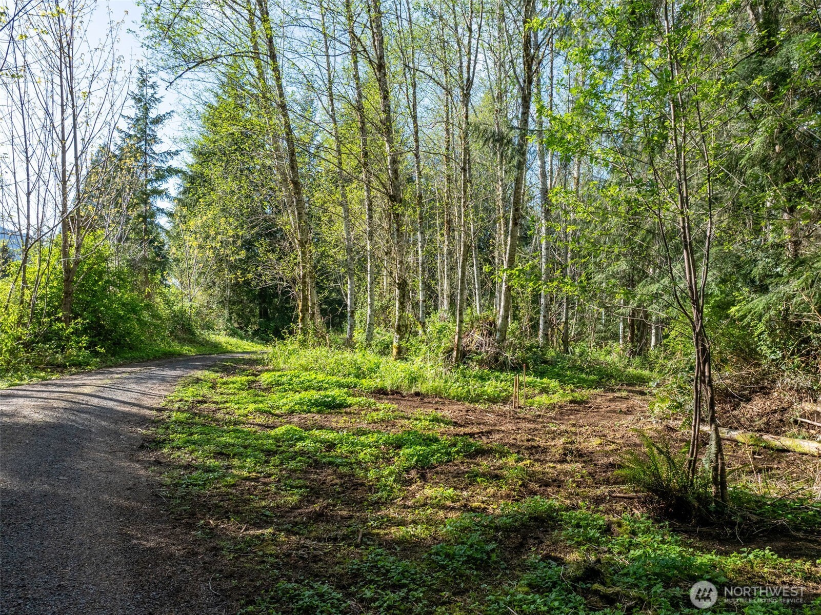 0 Davis Lake Road Morton, WA 98356 - Photo 7 of 25 a view of a green field with lots of bushes