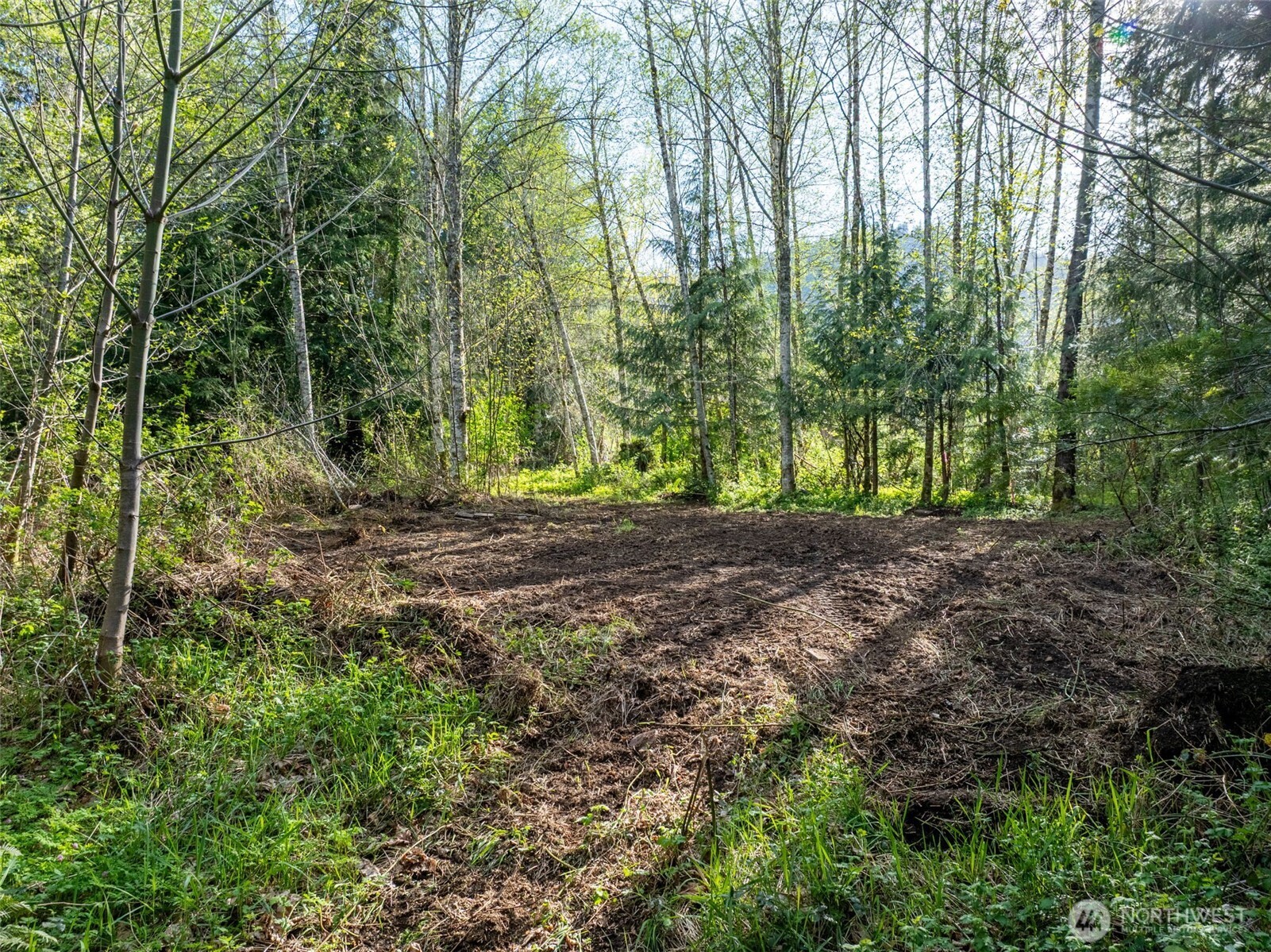 0 Davis Lake Road Morton, WA 98356 - Photo 8 of 25 a view of outdoor space and trees
