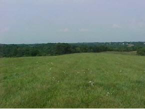10608 Stevens Road Dillsboro, IN 47018 - Photo 2 of 10 Gallery Image 2
