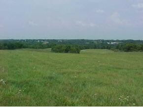 10608 Stevens Road Dillsboro, IN 47018 - Photo 3 of 10 Gallery Image 3