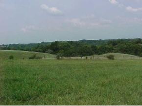 10608 Stevens Road Dillsboro, IN 47018 - Photo 7 of 10 Gallery Image 7