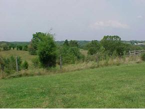 10608 Stevens Road Dillsboro, IN 47018 - Photo 10 of 10 Gallery Image 10