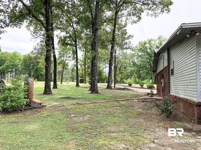 1598 Long Leaf Road Peterman, AL 36471 - Photo 5 of 34