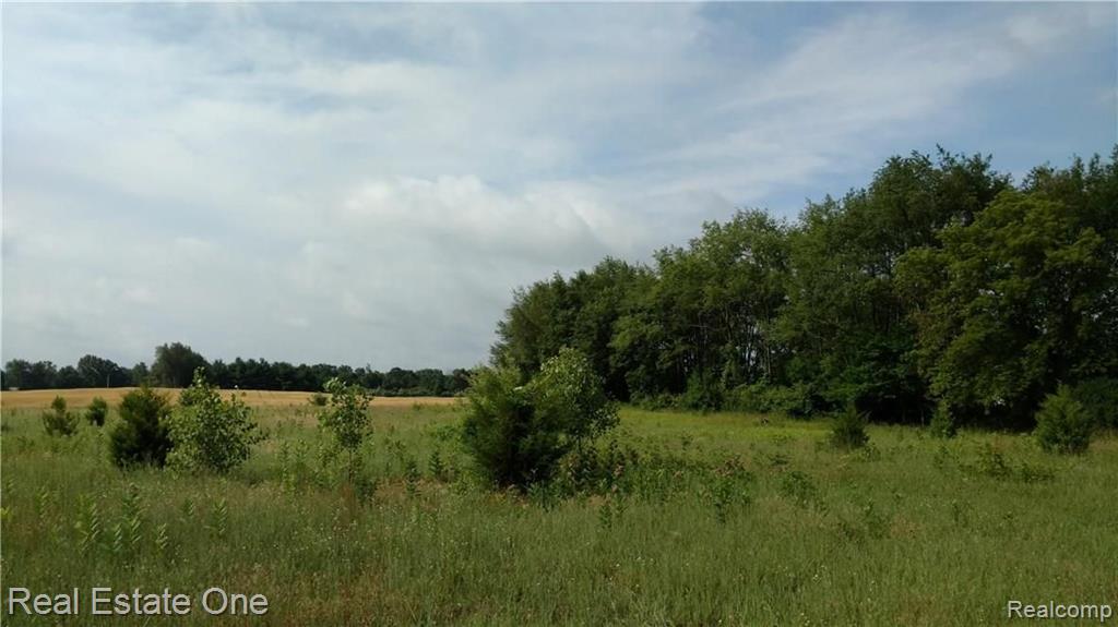 0 South Tipsico Lake Road Highland, MI 48357 - Photo 3 of 6
