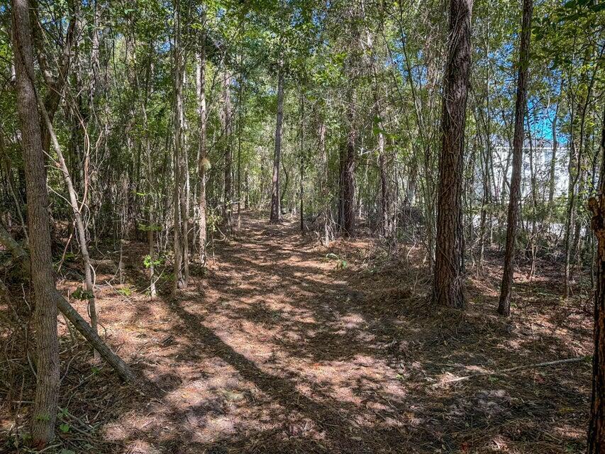 1 Hard Pinch Road Moncks Corner, SC 29461 - Photo 15 of 16