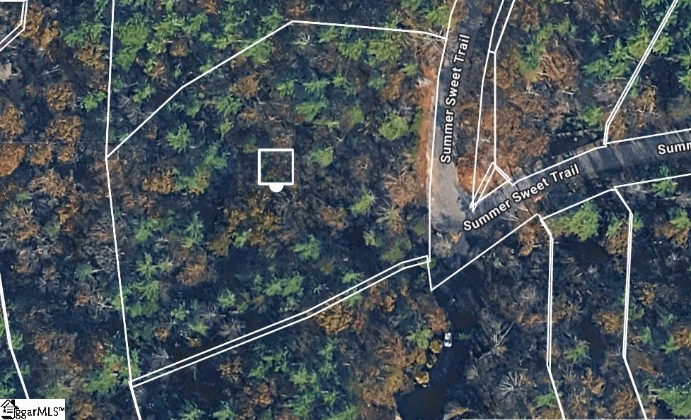 121 Summer Sweet Trail Sunset, SC 29685 - Photo 3 of 5