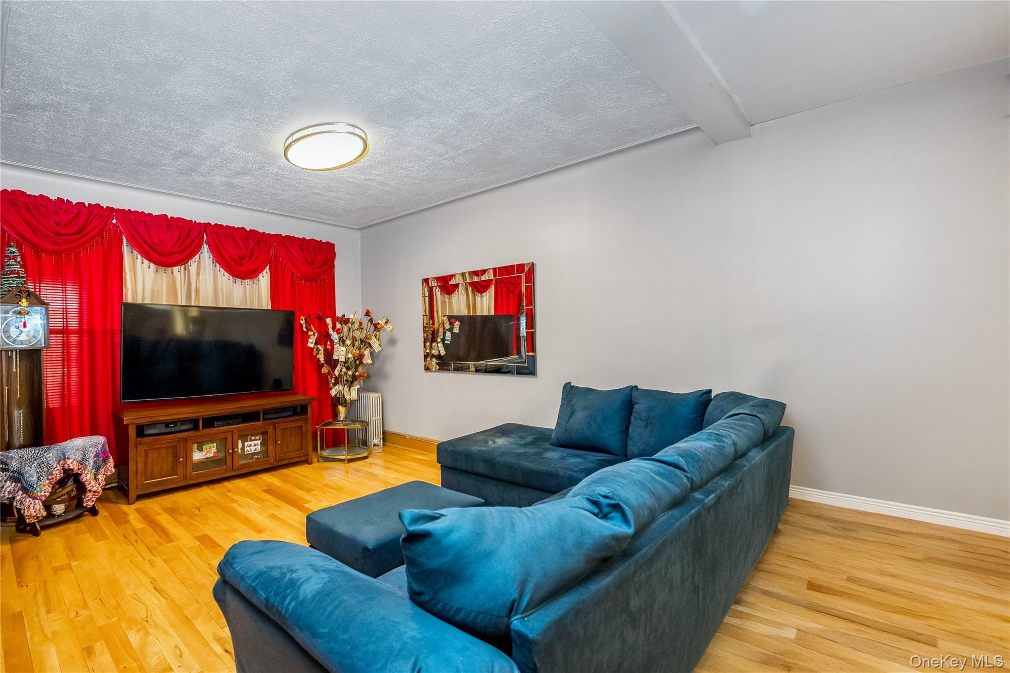 80-50 88th Road Queens, NY 11421 - Photo 7 of 21 a living room with furniture and a flat screen tv