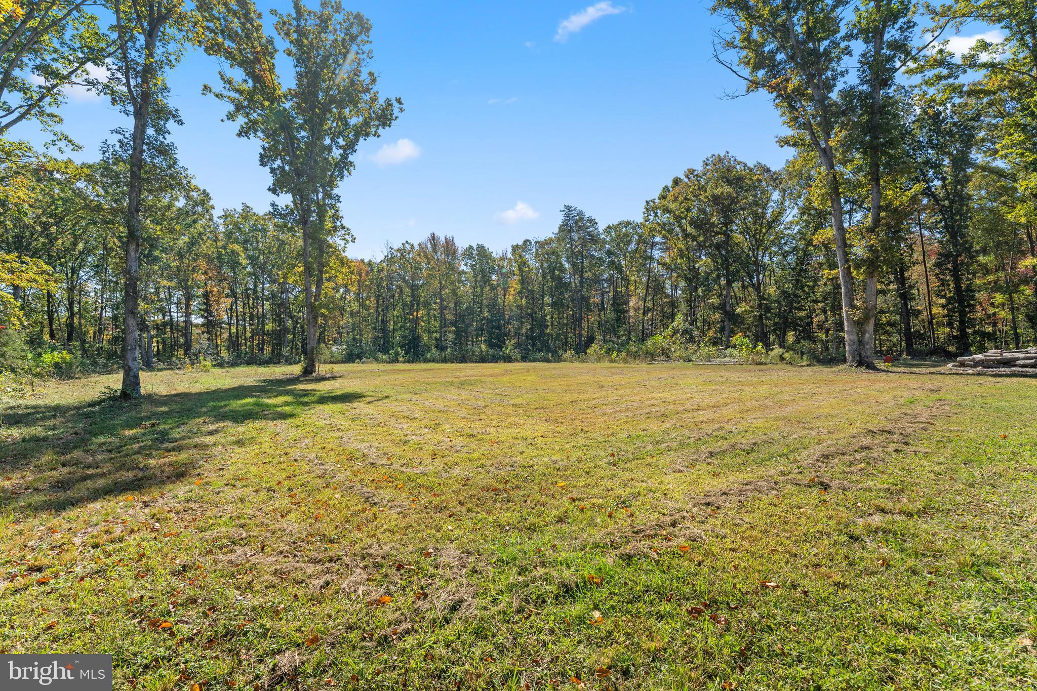 80 Shackelford Well Road Fredericksburg, VA 22406 - Photo 84 of 108 Cleared area