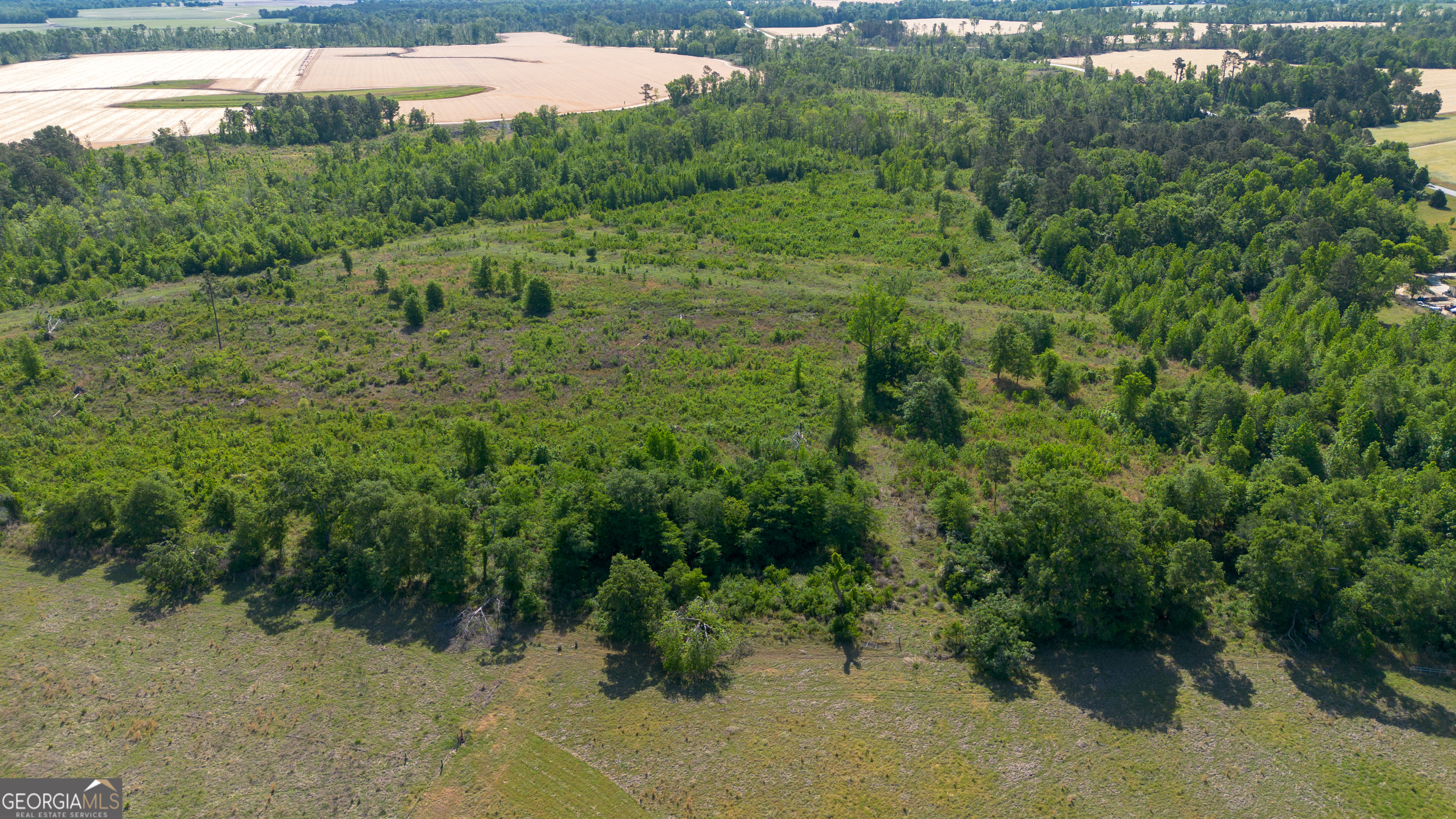 0 Scotts Store Road Millen, GA 30442 - Photo 11 of 13 Gallery Image 11