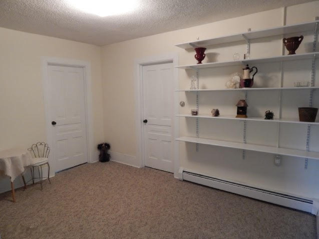 8402 Centerline Road Saranac, MI 48881 - Photo 12 of 42 centerline 8402 021