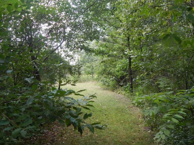 8402 Centerline Road Saranac, MI 48881 - Photo 20 of 42 centerline 010