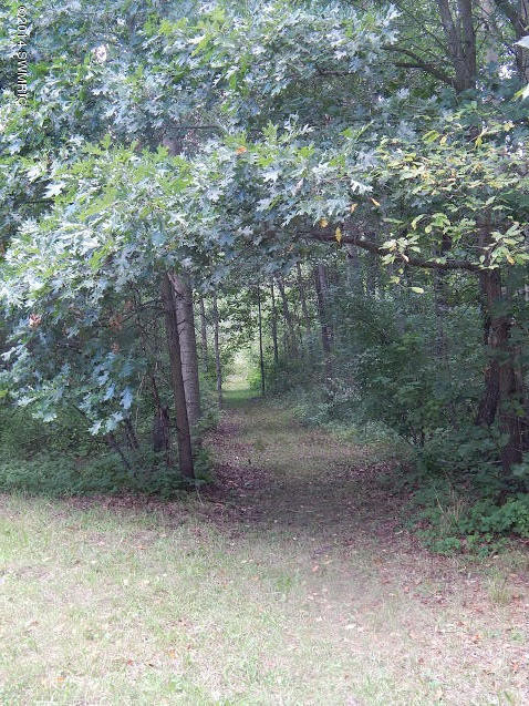 8402 Centerline Road Saranac, MI 48881 - Photo 21 of 42 centerline 007