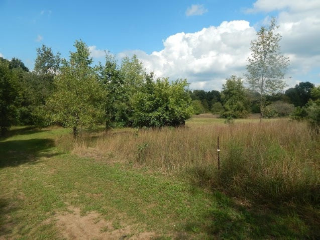 8402 Centerline Road Saranac, MI 48881 - Photo 23 of 42 centerline 003