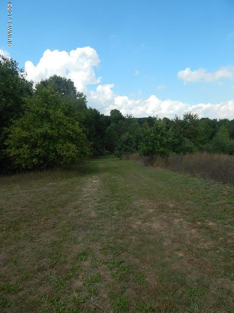 8402 Centerline Road Saranac, MI 48881 - Photo 24 of 42 centerline 002