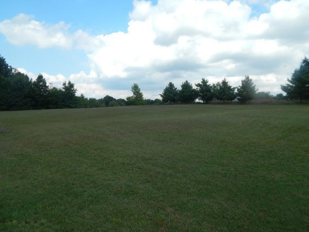 8402 Centerline Road Saranac, MI 48881 - Photo 25 of 42 centerline 001
