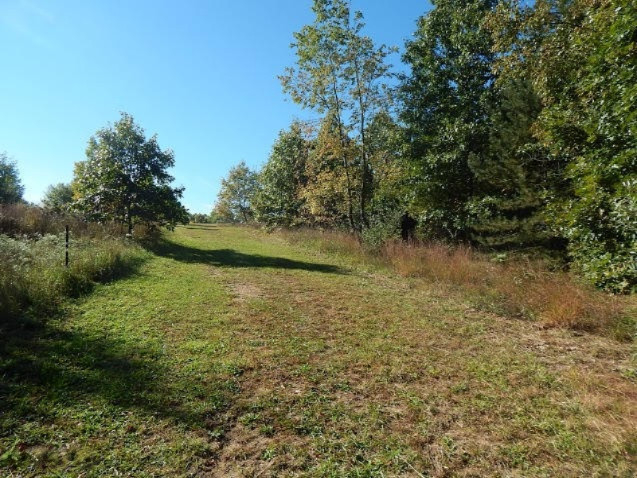 8402 Centerline Road Saranac, MI 48881 - Photo 28 of 42 centerline 8402 002