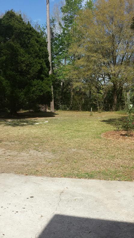 1254 Robin Road Mount Pleasant, SC 29464 - Photo 5 of 17 1254 Robin Rd Back Yard