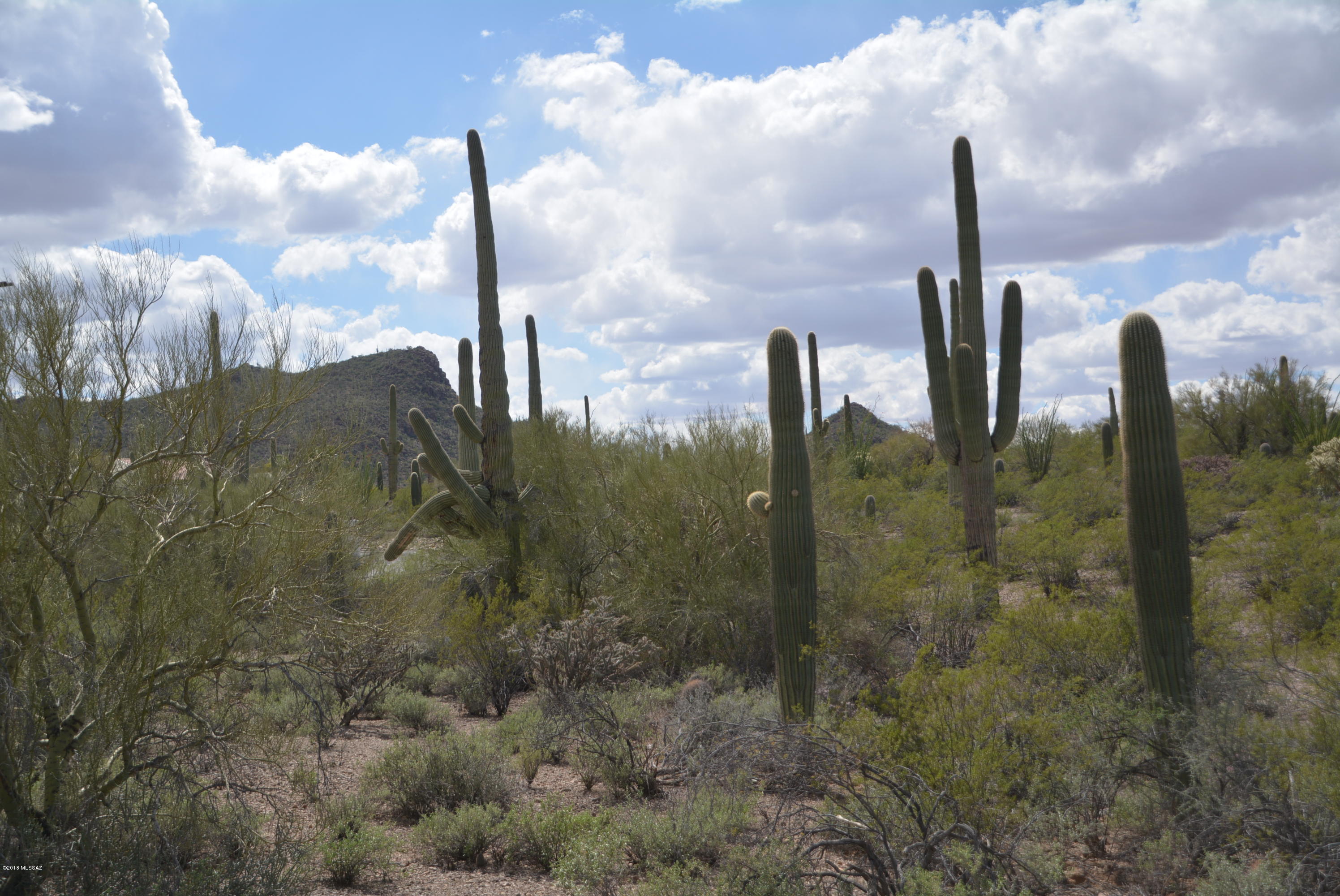 6801 North Wade Road Tucson, AZ 85743 - Photo 24 of 33 Gallery Image 24