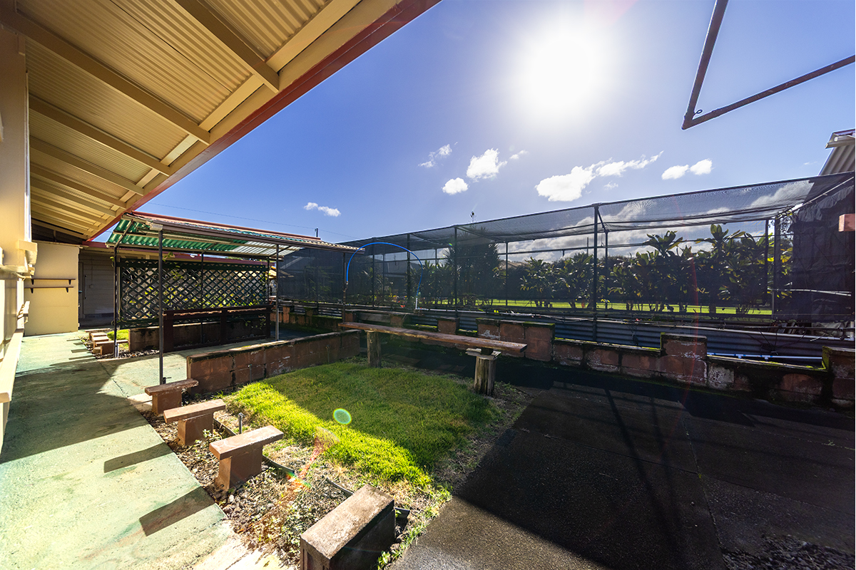 1306 Ululani Street Hilo, HI 96720 - Photo 22 of 30