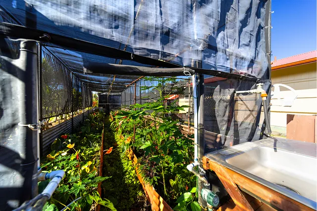 $575,000 | 1306 Ululani Street, Hilo, HI 96720