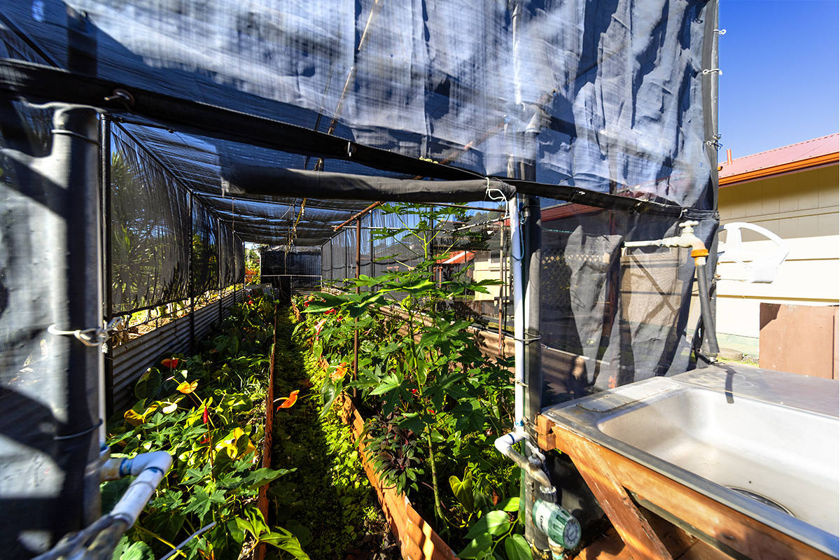 1306 Ululani Street Hilo, HI 96720 - Photo 23 of 30