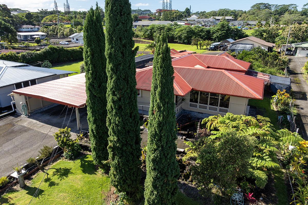 1306 Ululani Street Hilo, HI 96720 - Photo 26 of 30