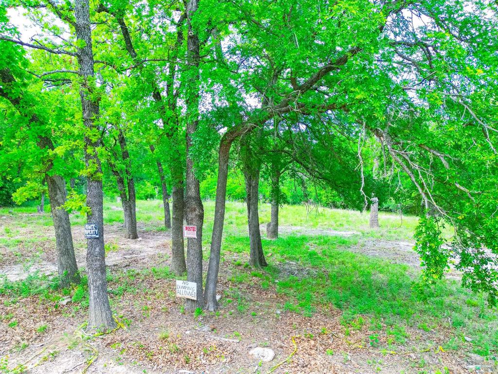 1494 Lynock Lane Azle, TX 76020 - Photo 11 of 24