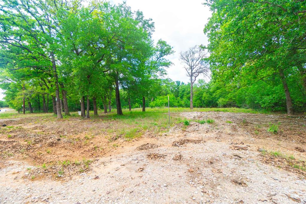 1494 Lynock Lane Azle, TX 76020 - Photo 13 of 24