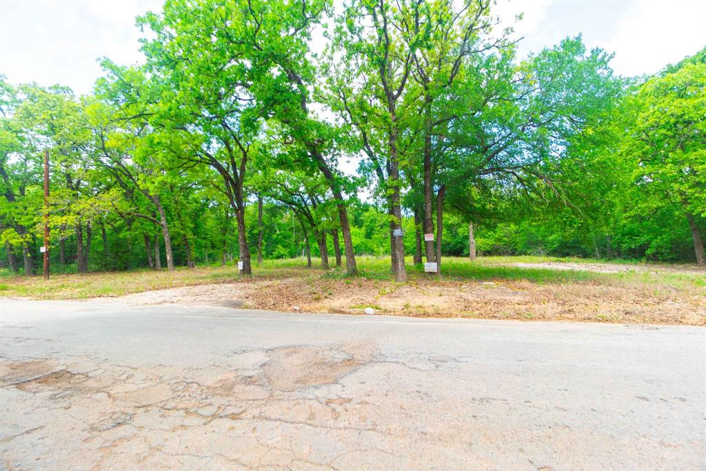 1494 Lynock Lane Azle, TX 76020 - Photo 14 of 24