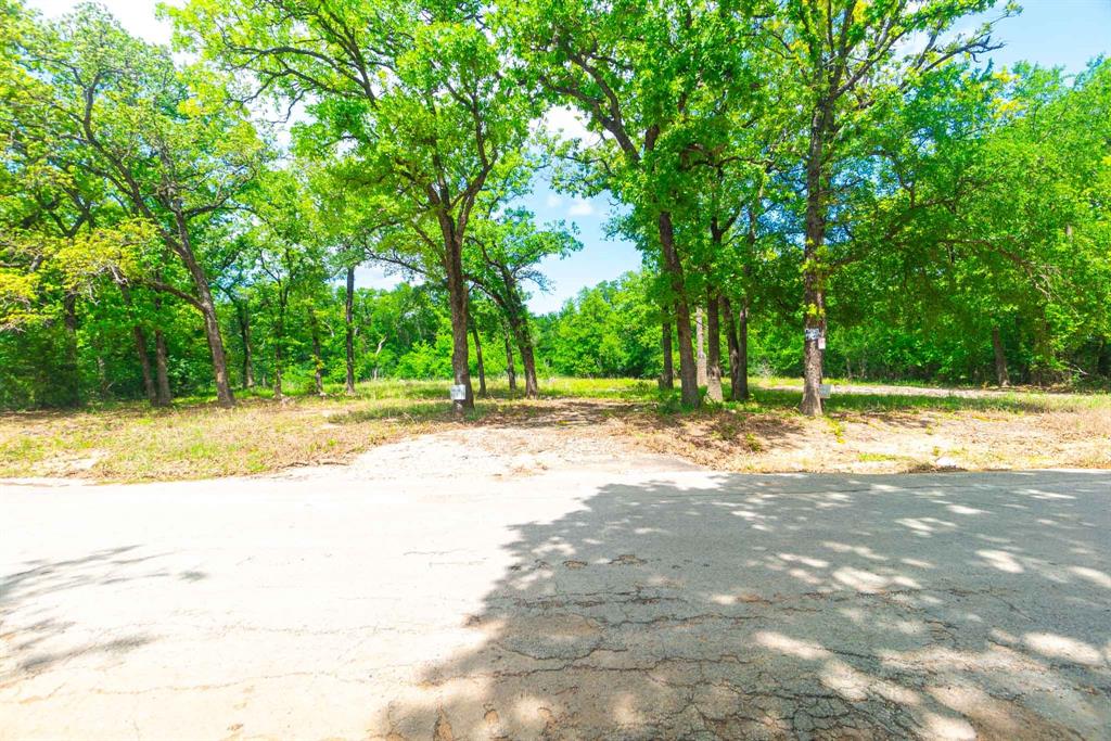 1494 Lynock Lane Azle, TX 76020 - Photo 15 of 24