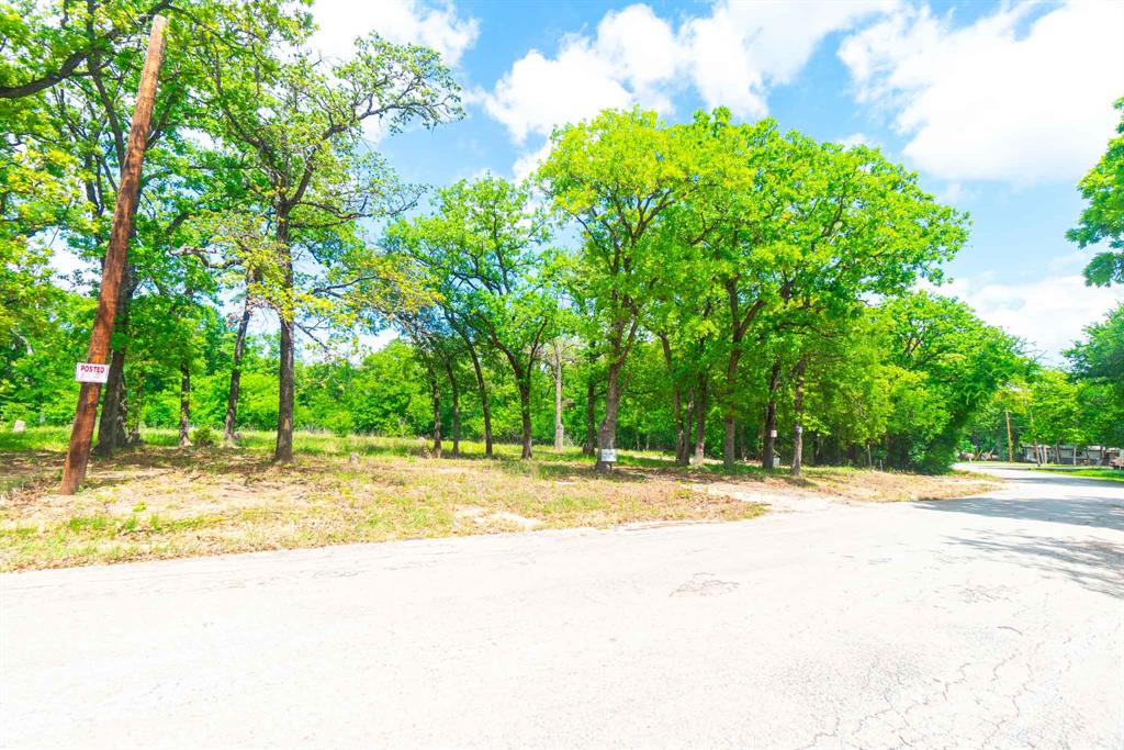 1494 Lynock Lane Azle, TX 76020 - Photo 17 of 24