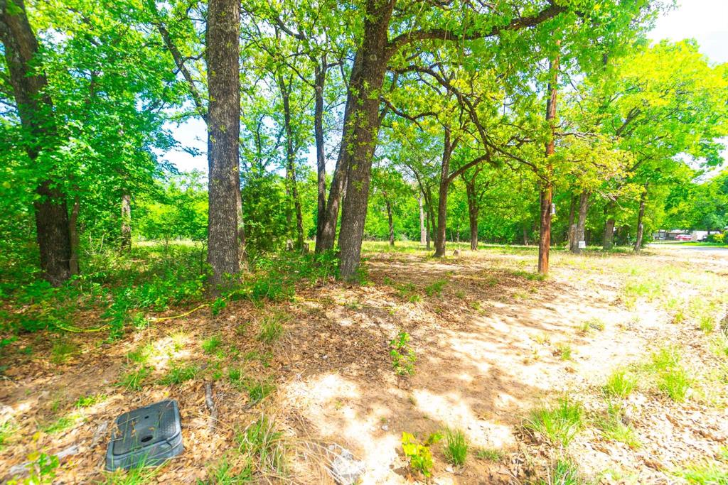 1494 Lynock Lane Azle, TX 76020 - Photo 19 of 24