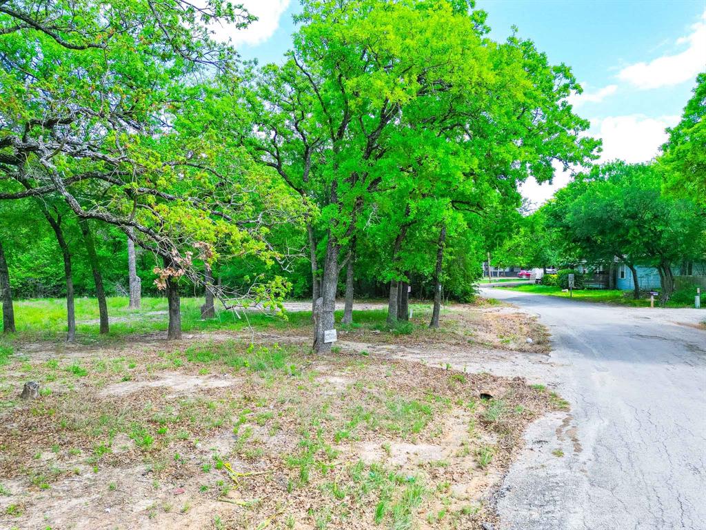 1494 Lynock Lane Azle, TX 76020 - Photo 2 of 24