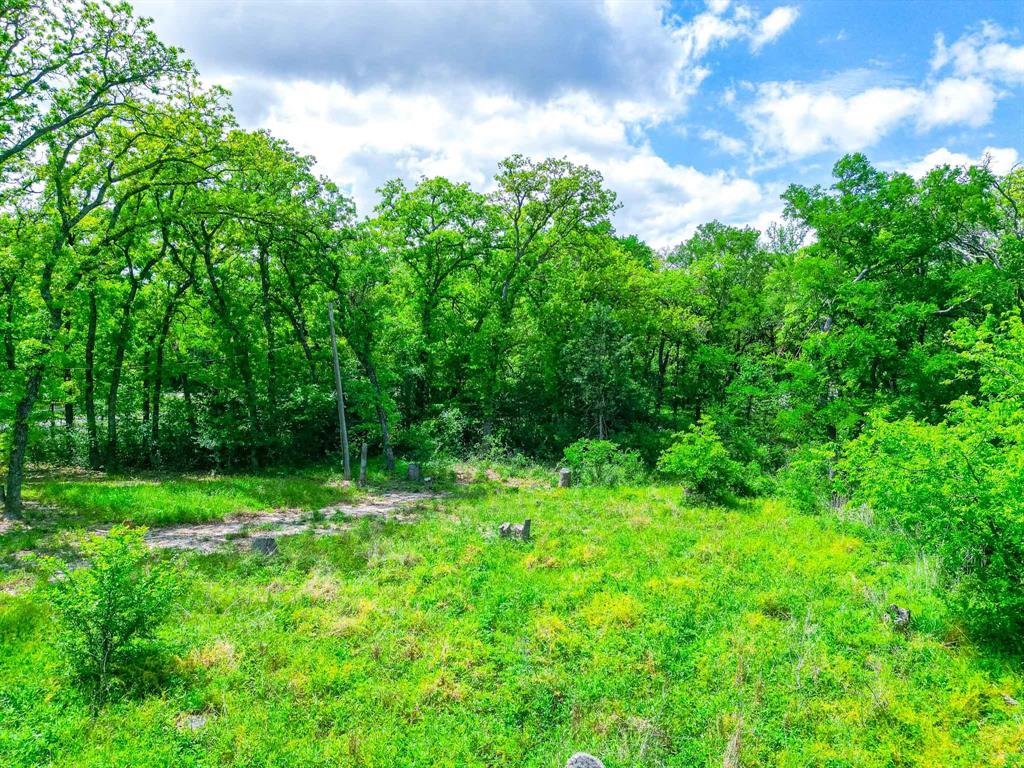 1494 Lynock Lane Azle, TX 76020 - Photo 23 of 24