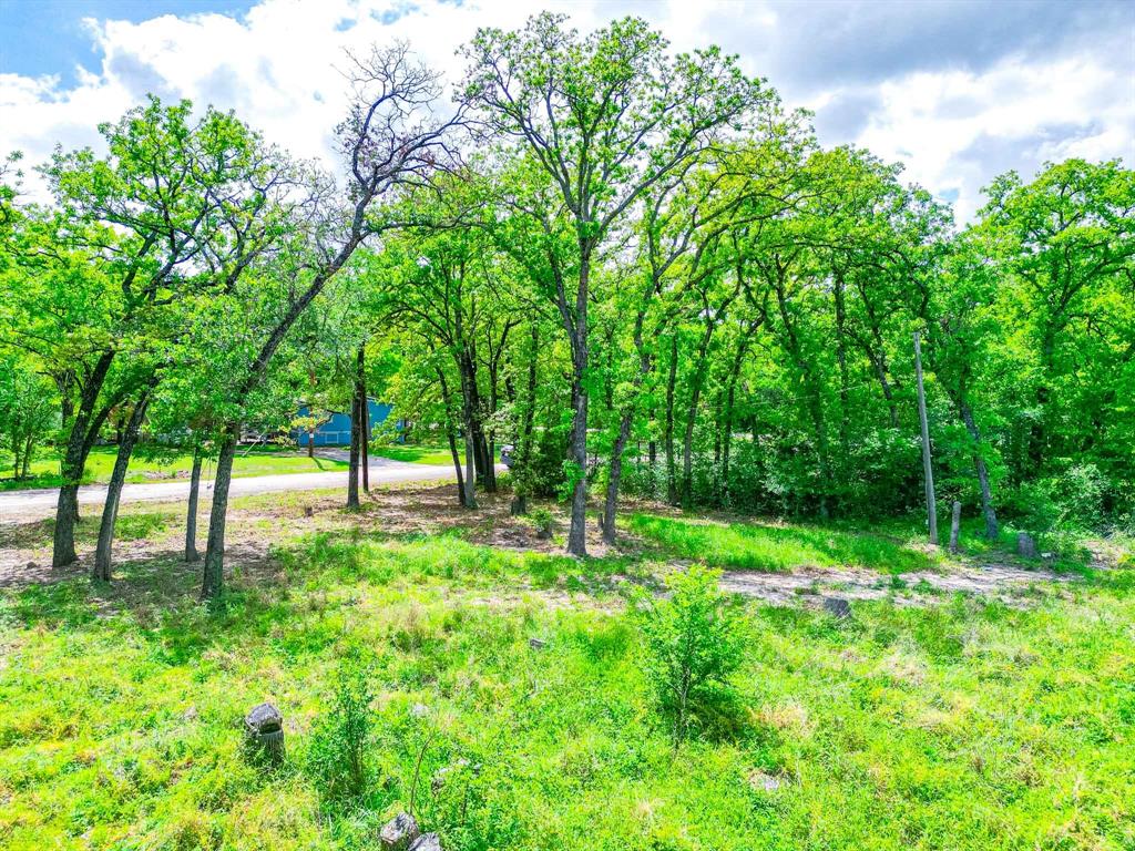 1494 Lynock Lane Azle, TX 76020 - Photo 6 of 24