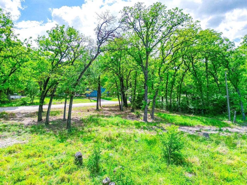 1494 Lynock Lane Azle, TX 76020 - Photo 7 of 24