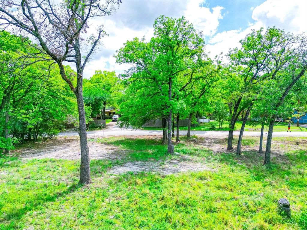 1494 Lynock Lane Azle, TX 76020 - Photo 8 of 24