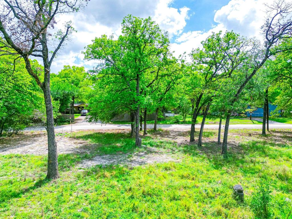 1494 Lynock Lane Azle, TX 76020 - Photo 9 of 24