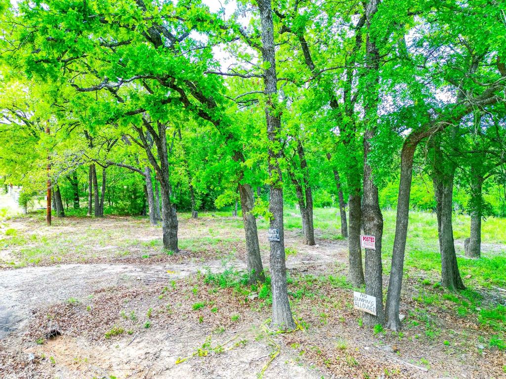 1494 Lynock Lane Azle, TX 76020 - Photo 10 of 24