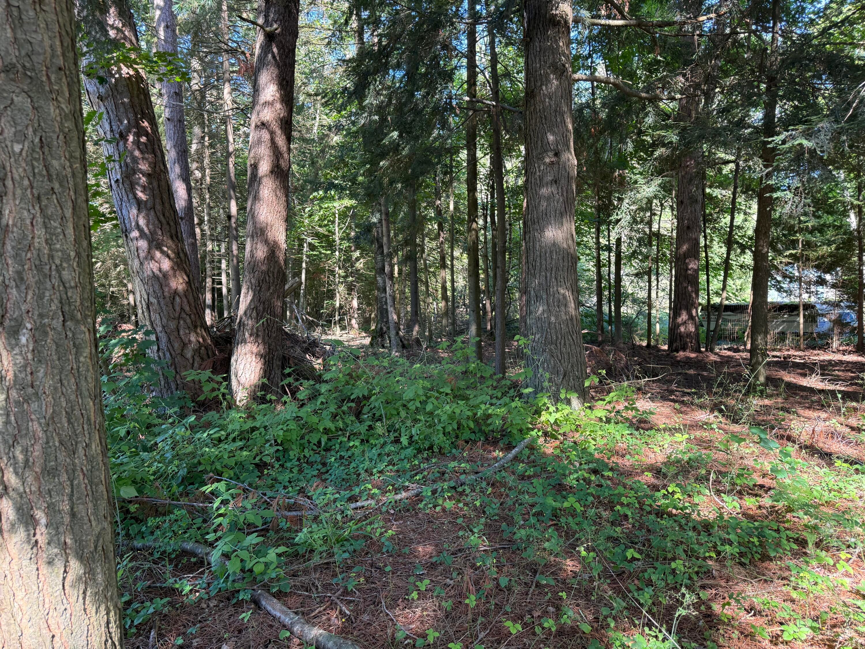 12143 Inverness Trail Road Cheboygan, MI 49721 - Photo 30 of 43 image00001