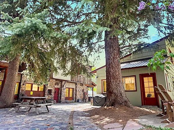 a front view of a house with a tree
