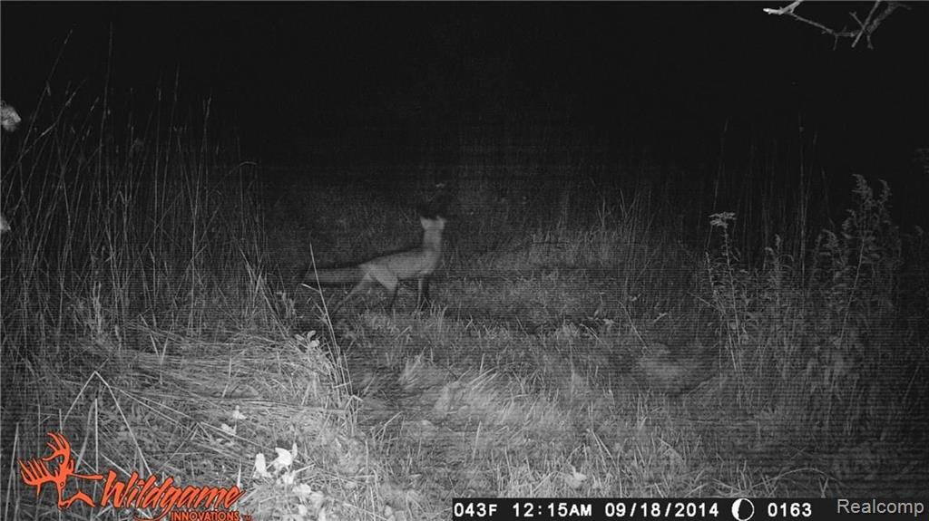 Vl Slattery Road Attica, MI 48412 - Photo 21 of 21