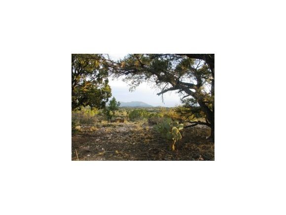 4301 Young Road Prescott, AZ 86305 - Photo 1 of 12 Primary Photo