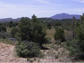 4301 Young Road Prescott, AZ 86305 - Photo 5 of 12 Additional Photo