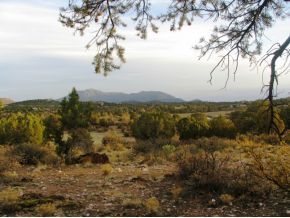 4301 Young Road Prescott, AZ 86305 - Photo 9 of 12 Additional Photo